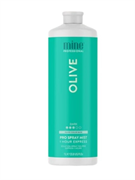Лосьон MineTan Olive Pro Spray Mist 14% DHA 1000 мл 1910